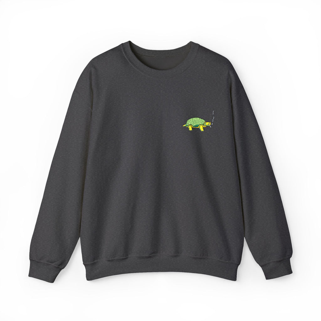 Green Turtle Illustration Sweatshirt | Small Chest Graphic