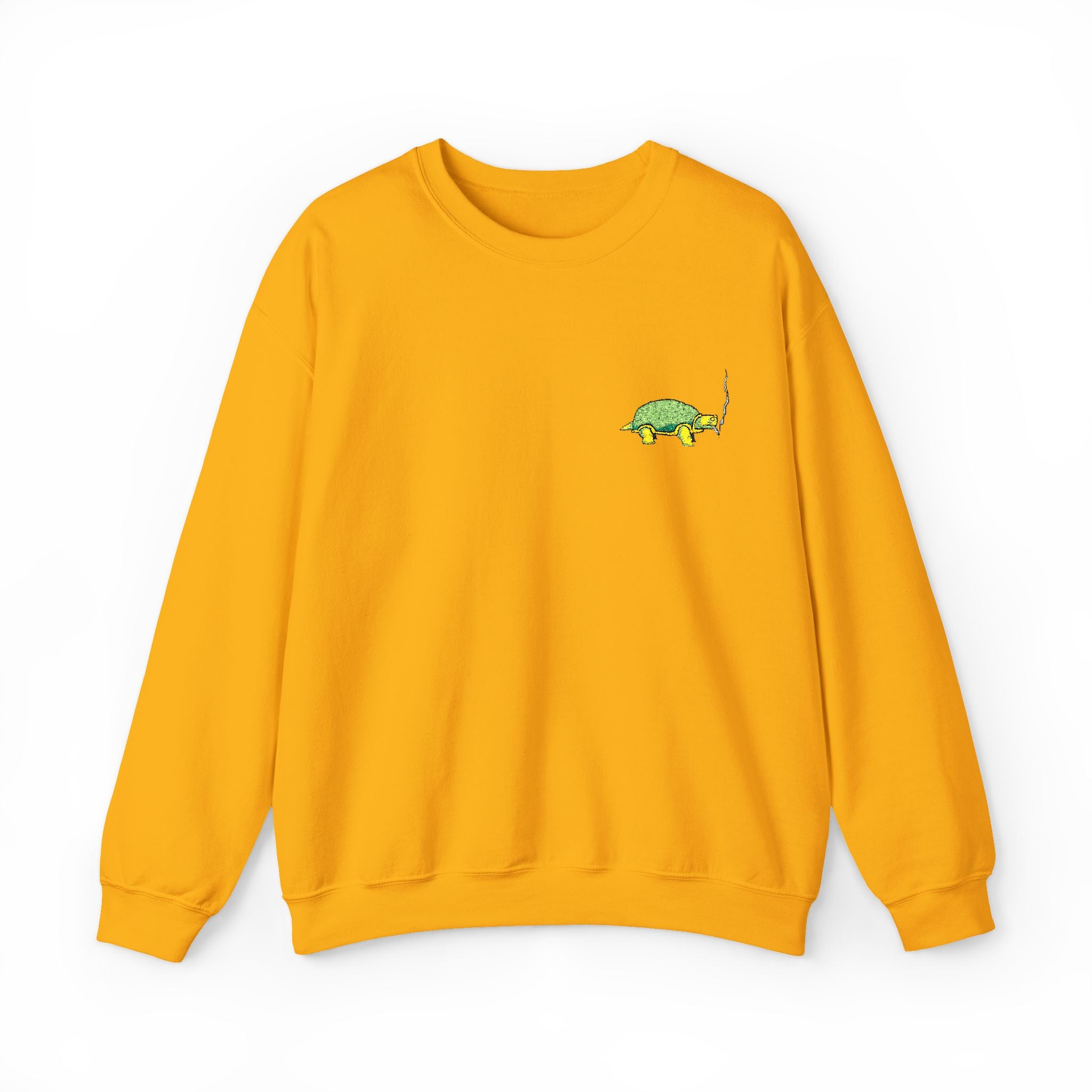 Green Turtle Illustration Sweatshirt | Small Chest Graphic