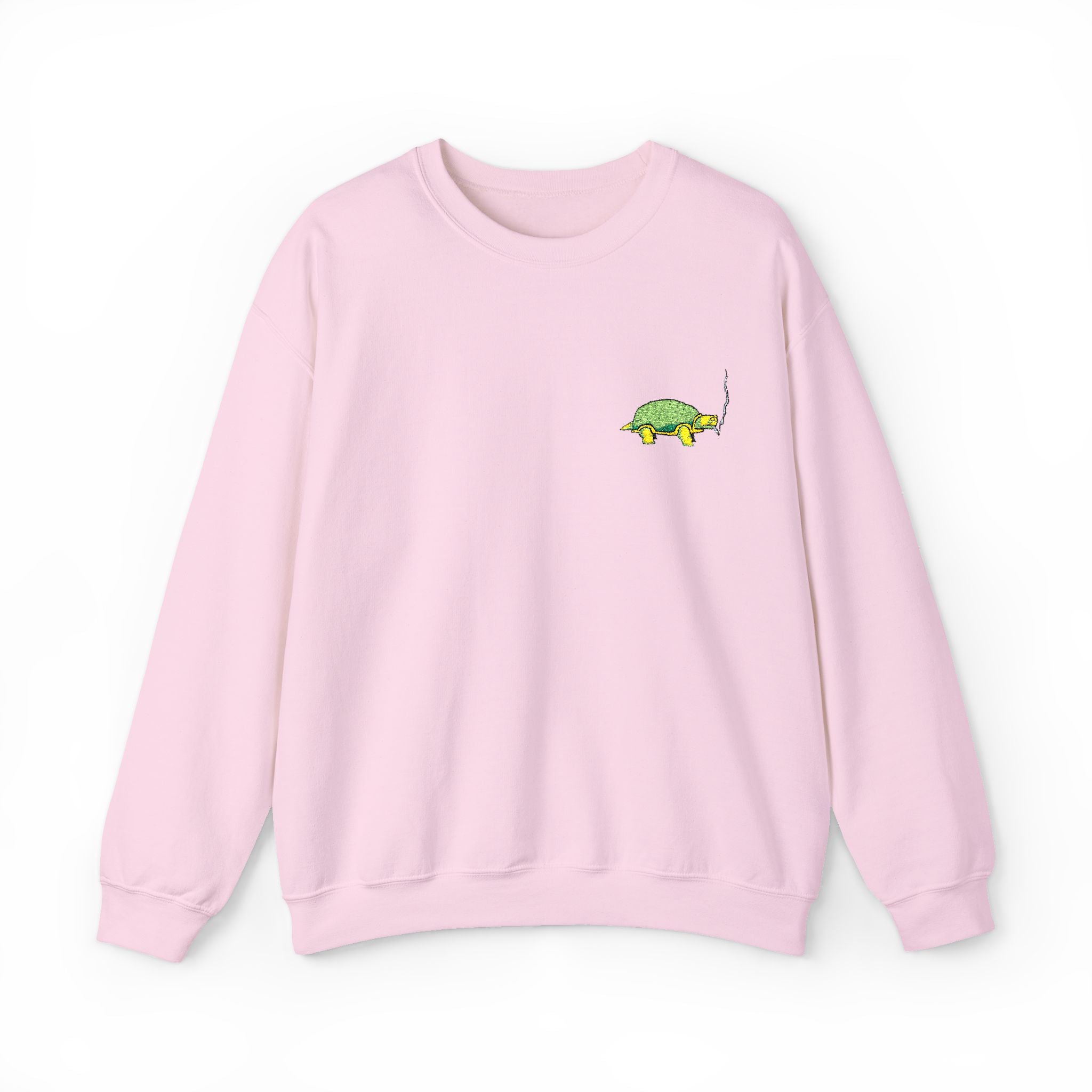 Green Turtle Illustration Sweatshirt | Small Chest Graphic