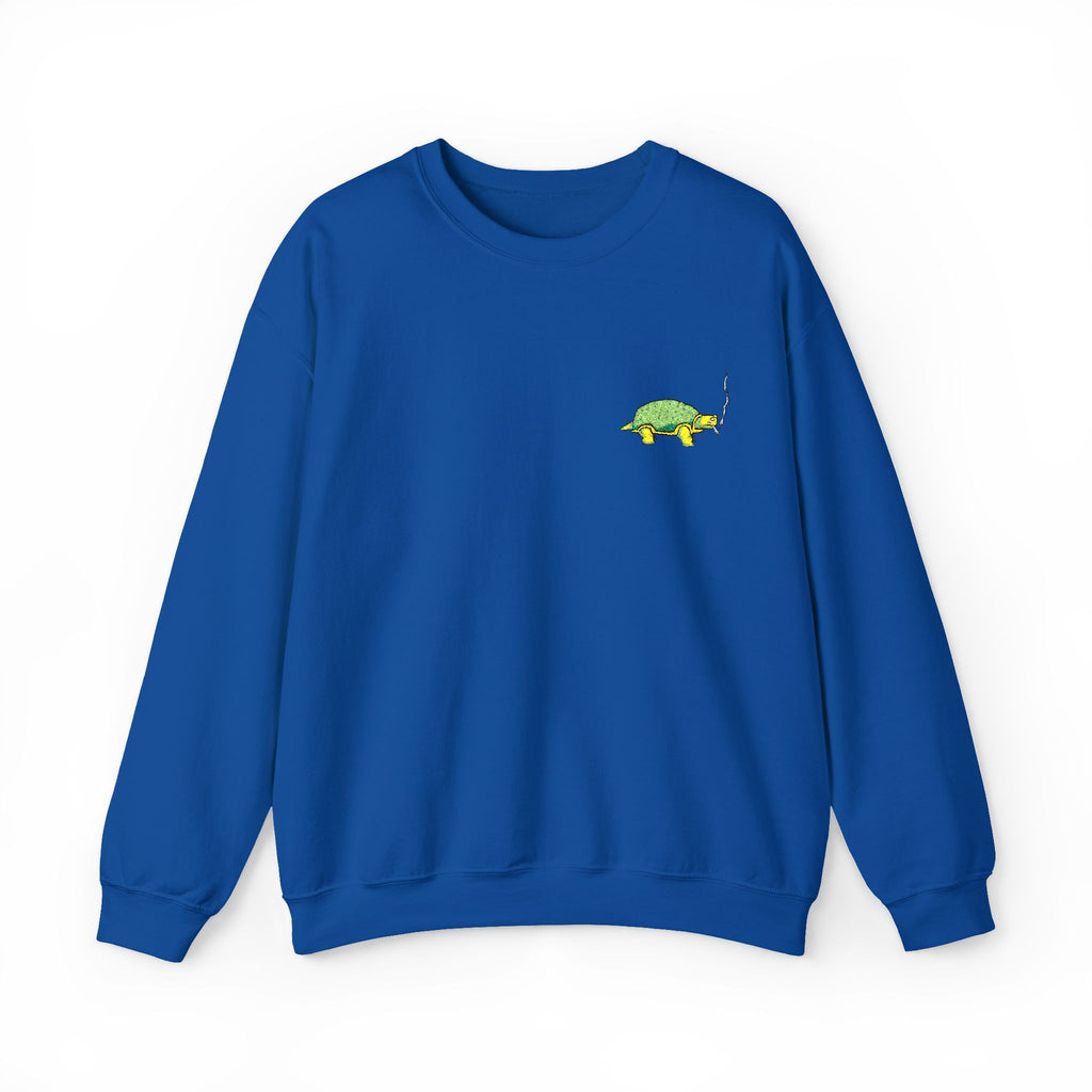 Green Turtle Illustration Sweatshirt | Small Chest Graphic
